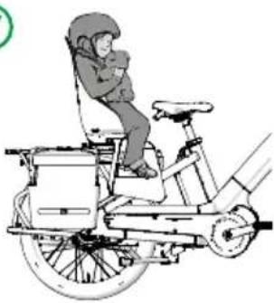 Urban Arrow Breeze - Voorbeelden van personenvervoer - 1