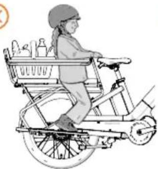 Urban Arrow Breeze - Fußstützen, keine Protection bar, keine Rückenlehne, kein Sitzkissen, kein Kindersitz, Gepäck - 2