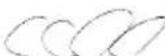 SCHEPPACH C-WBL180-X - Table of contents - 4