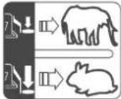 SCHEPPACH FBCC12TPDF - Explanation of the symbols on the product - 23