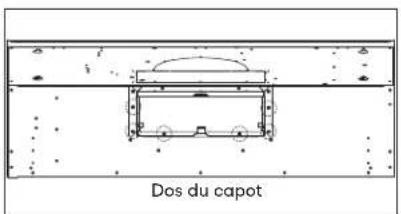 Dos du capot