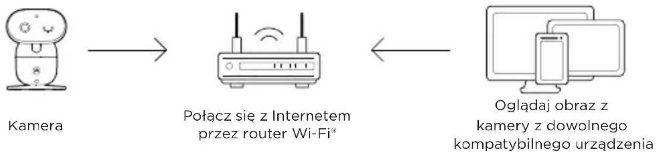 MOTOROLA PIP1710 CONNECT - Podłącz urządzenie - 1
