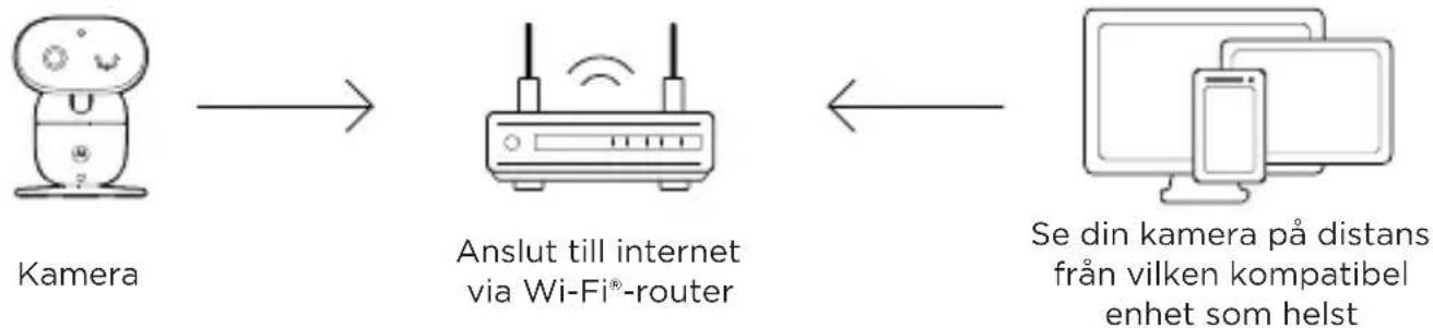 MOTOROLA PIP1710 CONNECT - Anslut enheten - 1