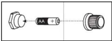 AA + 0