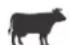Blackstone 1963 - Comment SAVOIR si une VIANDE est bien CUITE - 2