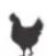 Blackstone 1963 - Comment SAVOIR si une VIANDE est bien CUITE - 1
