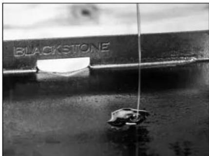Blackstone 1963 - GRIDDLE SEASONING INSTRUCTIONS - 2