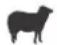 Blackstone 1963 - Comment SAVOIR si une VIANDE est bien CUITE - 3