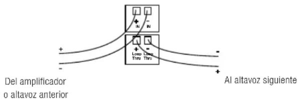 JBL Control 416C/T - Esquemas de conexión para altavoces subsecuentes - 1