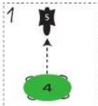 BS Squirrel Parachutes GA444 - 2