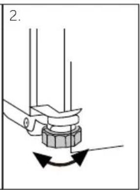 2.