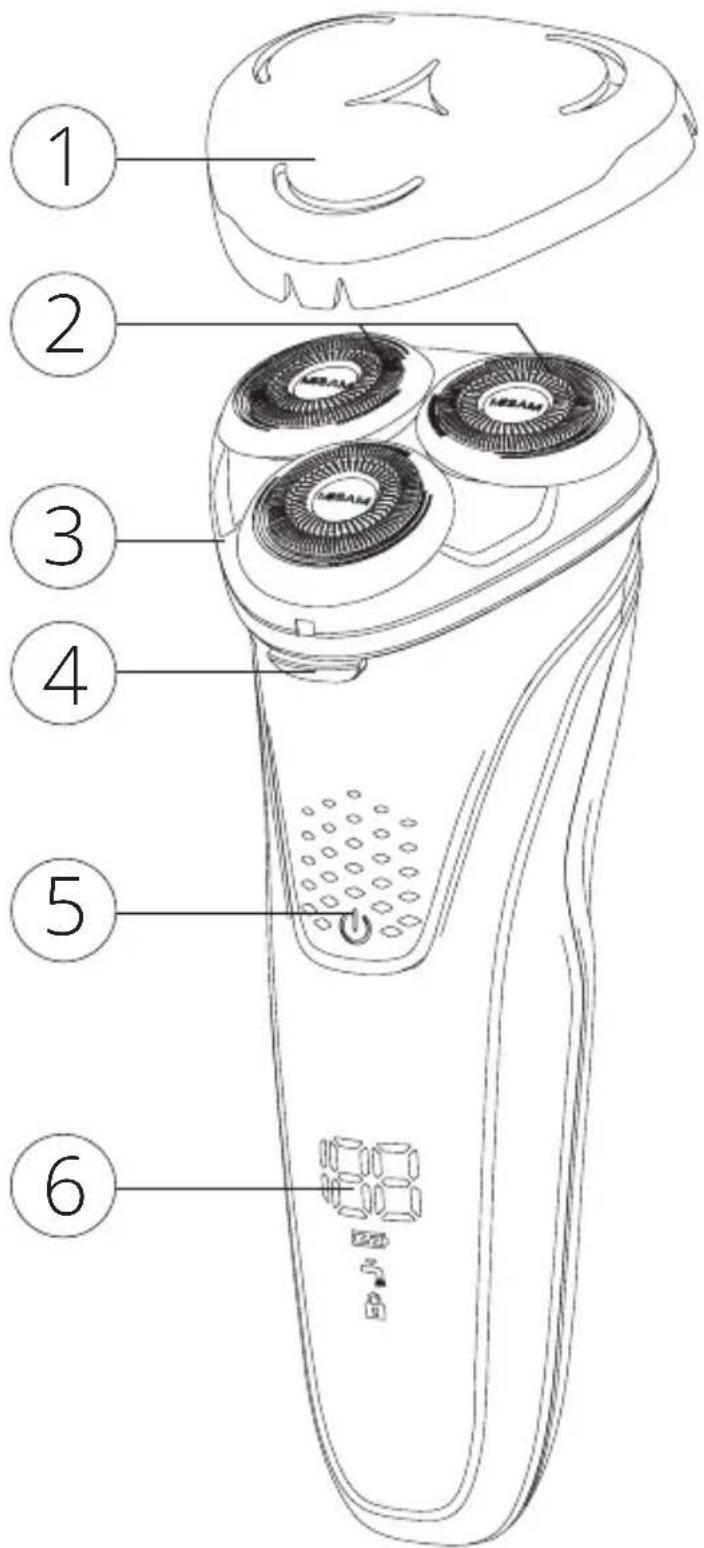 Ailoria Masculin - Funktionen - 1