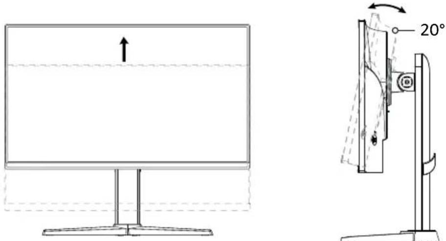 AMAZON BOCP7D88SW - Orientamento - 1