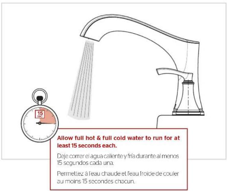 Pfister Woodbury RT6-5WDC - Flush the Faucet - 1