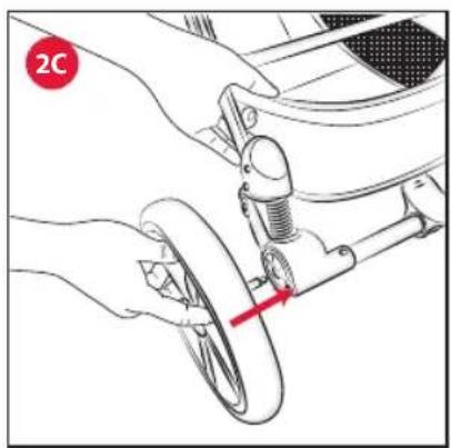 2C