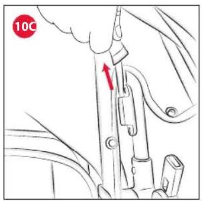 10C