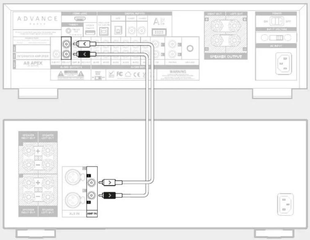 ADVANCE A8 APEX - Prise pre-out - 1
