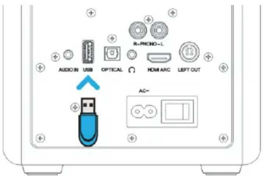 Majority D100X - Porta di riproduzione USB - 1