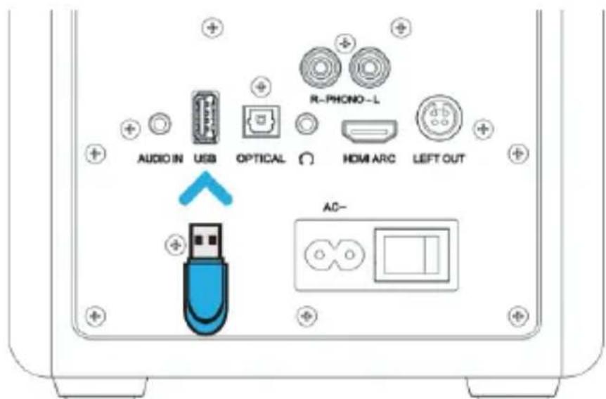 Majority D100X - Puerto USB de reproduccion - 1