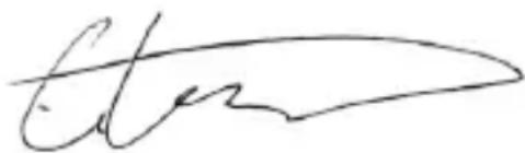 Majority Rostock - Signature - 1