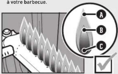 WEBER Spirit SX-315 - Type de flammes appropriées - 1