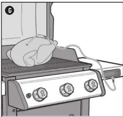 WEBER Spirit SX-315 - PINCE - 8