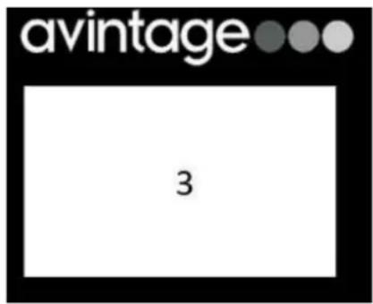 AVINTAGE AVI6075PLATINUM - AVI45PLATINUM (Eenvoudige zone) - 2