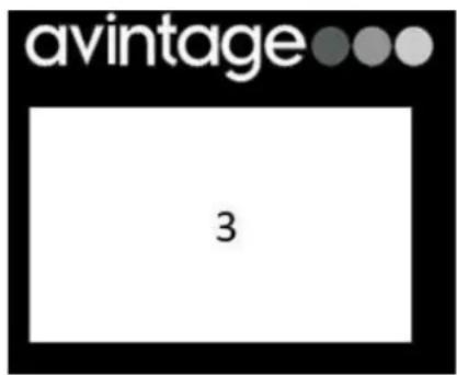 AVINTAGE AVI6075PLATINUM - AVI45PLATINUM (Zona semplice) - 2