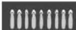 Forno FFSGS6356-48WHT - Avant d'appeler le service d'assistance - 2