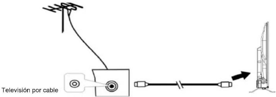EDENWOOD ED40A00FHD-RE - Conexión de la antena externa a la unidad - 1