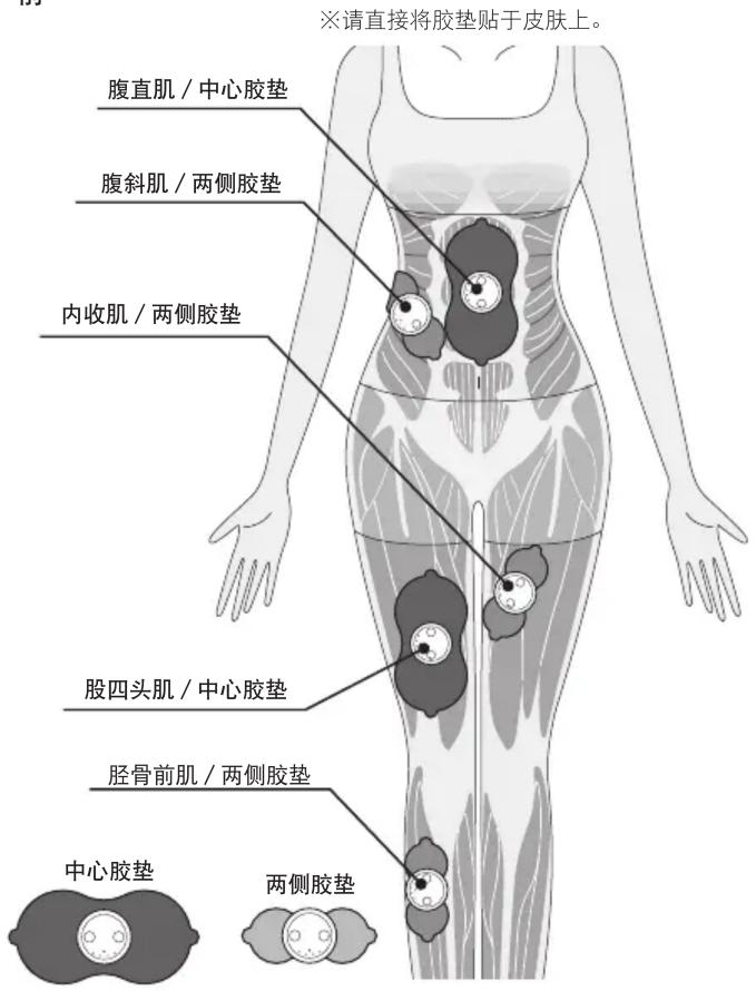 ※请直接将胶垫贴于皮肤上。 腹直肌 / 中心胶垫 腹斜肌 / 两侧胶垫 内收肌 / 两侧胶垫 股四头肌 / 中心胶垫 胫骨前肌 / 两侧胶垫 中心胶垫 两侧胶垫