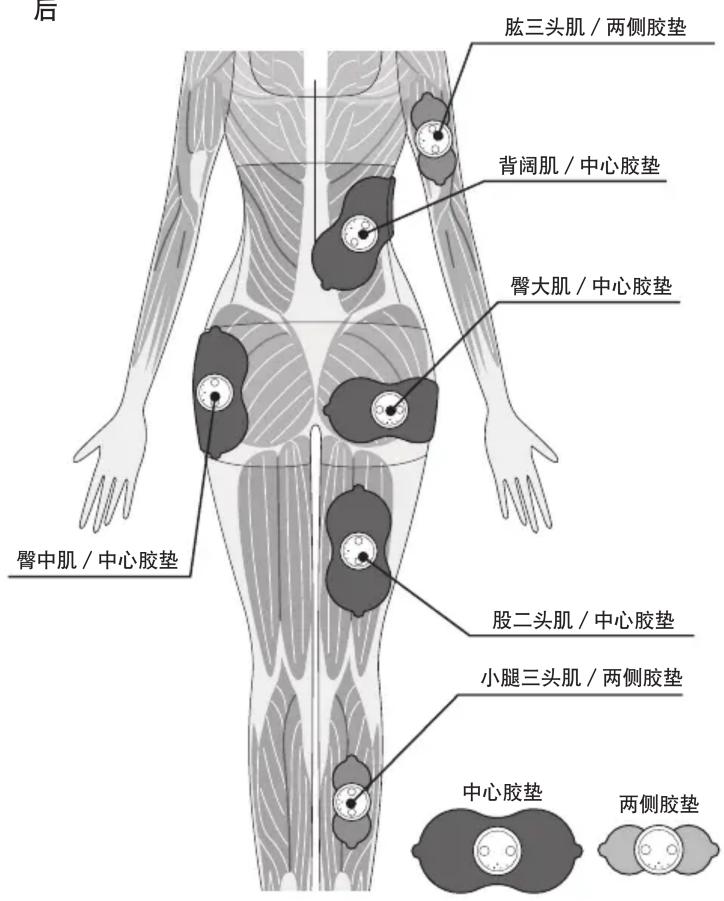 后 肱三头肌 / 两侧胶垫 背阔肌 / 中心胶垫 臀大肌 / 中心胶垫 臀中肌 / 中心胶垫 股二头肌 / 中心胶垫 小腿三头肌 / 两侧胶垫 中心胶垫 两侧胶垫