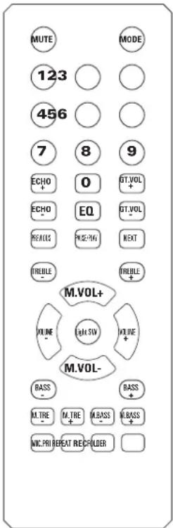 IBIZA SOUND LOUNGE265 - Remote Control - 1