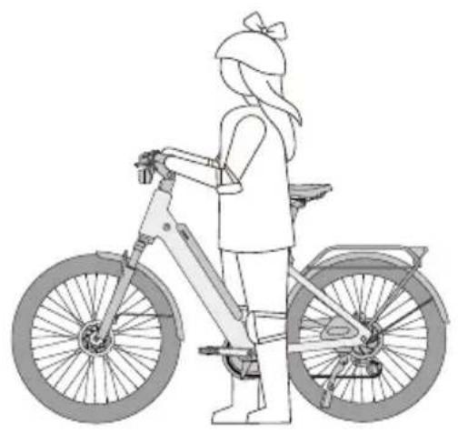 SEGWAY Myon - Installation Instructions / Instructions d'installation / Instructions d'installation / Иструкции по установке / 安装说明 - 3