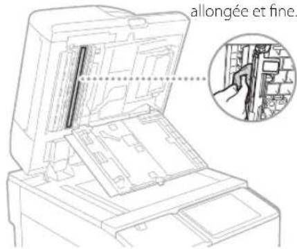 allongée et fine.