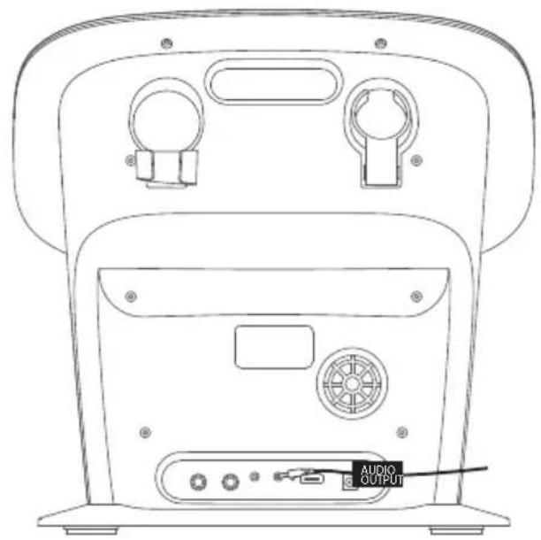 Singing Machine ISM9011 - Collegamenti - 2
