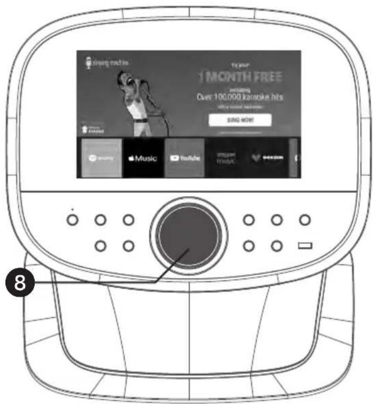 Singing Machine ISM9011 - Mises en Garde - 10