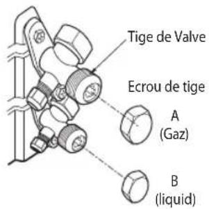 Tige de Valve Ecrou de tige A (Gaz) B (liquid)