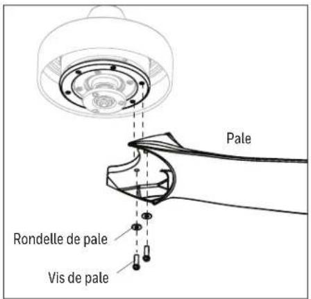 Pale Rondelle de pale Vis de pale