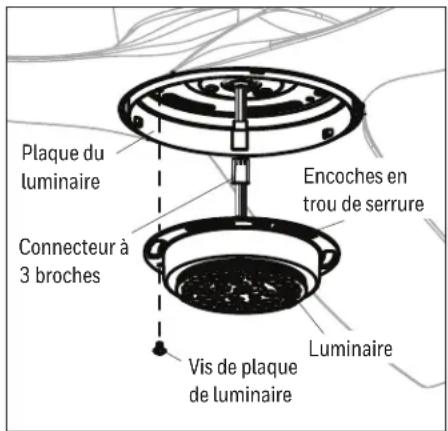 Plaque du luminaire Connecteur à 3 broches Encoches en trou de serrure Vis de plaque de luminaire Luminaire