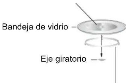 Bandeja de vidrio Eje giratorio