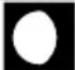 BRESSER Comfort Weather Center 7in1 7803300 - Fase lunar - 6