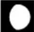 BRESSER Comfort Weather Center 7in1 7803300 - Phase de la lune - 12