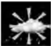 BRESSER Comfort Weather Center 7in1 7803300 - Prévisions météo - 5