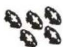 CANDY GD 411BL10-S - Accessoires - 1