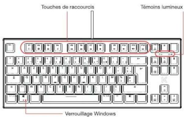 Skillkorp K10 TKL - CONNEXION FILAIRE - 2