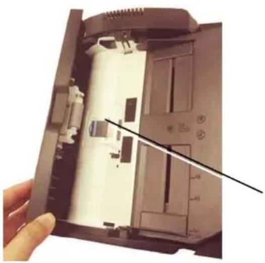 AVISION AD136WN - 可更换的耗材 - 1