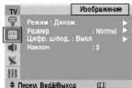 SAMSUNG CS-29L30ZQQ - Изображение - Размер / Цифр. ш/лод. / Наклон - 1