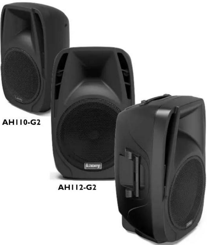 Laney AH115-G2 - INTRODUCTION - 2