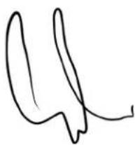 Laney A-DUO - WELCOME - 1